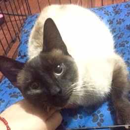 D 3af908be 6c29 45da 8ac4 54ac4ebd32b6