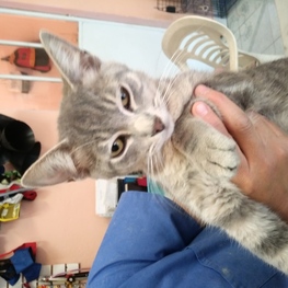 D 9a4b5a90 5994 44b7 8e81 bfd8c4864e65