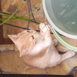 D 6d72bd31 517c 4c34 b282 c60171426ee3