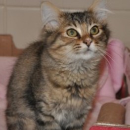 D 37d38d9e 342c 4297 acf1 200a84d94e72