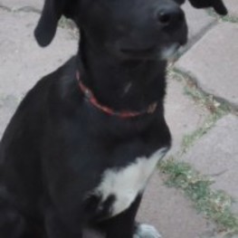 D df3f1cf2 16b5 47ac 8559 6dc598790cd5