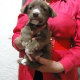 D e1c08d16 a20f 4e0a aa9f 2aa5284a0621