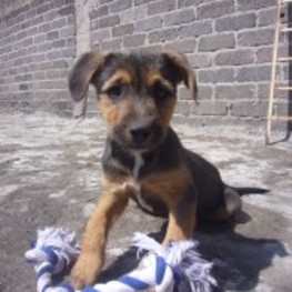 D a78c521b 9c14 46bf 9a26 a7a91de9468b