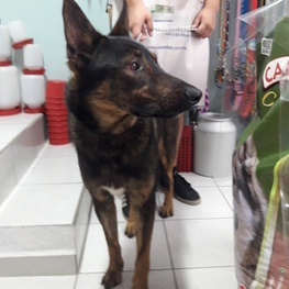 D 04bfda29 9a92 4a45 9f4c a2cde6799ede