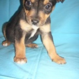 D 76772257 2e0e 4c6e 8cee 41ef2ce06a88