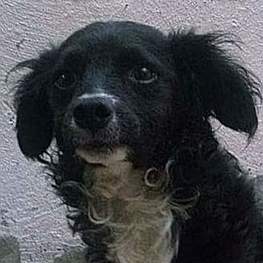 D 0cb12151 4e8c 40bc 9a9d e85762a6b025