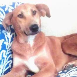 D 94a57d62 e8a9 4df5 9517 395f7b7ecaed