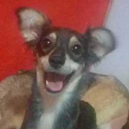 D 27303936 725b 435b b488 8ec5278d43ef