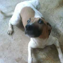 D 29372c71 3e6e 490c 9587 8170fbac7b00