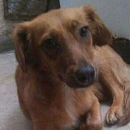 D 8923c445 66bc 478e a45a 83e642882c99