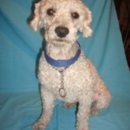 D 993b10d1 773e 413c bace 237a6d81e83a