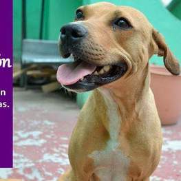 D d68675d8 7121 4ca6 9c2e c8e02adba97b