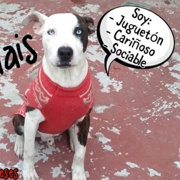 D 6401c154 06bd 4b40 a651 c0dbc10a6918