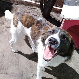 D 86661e53 19ad 485d b581 70478df03c50