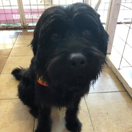 D ab261a6e fa6e 4d96 b3af e8f23b67c0c4