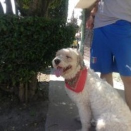 D fd80f33b 74f2 49ca bb33 9b31bdfabeb6