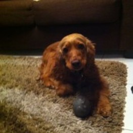 D d0591a06 5e7c 4ca6 aed0 d578b9903c70