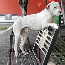 D 6f5e9cad 7c1b 4f79 96c1 48e3cdc08b17