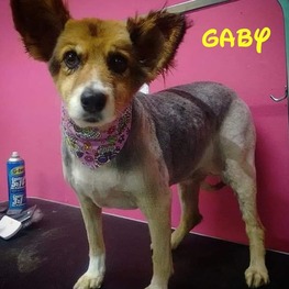 D 40ba74ab c616 4009 818c 59d08581fa53