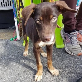 D ae2f4533 2bb3 42c4 9f34 7aa582f5c4a6