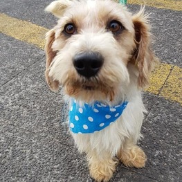 D 087442fb 7564 4f30 8317 edc90431ab9d