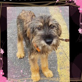 D 98ebc1ce 60e1 41a5 82fe 3af639409199