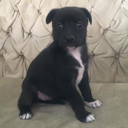 D 8c5cd798 8865 4fe2 8dfc c74715b0b326