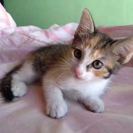 D 43b394d2 f8d9 48b8 9f69 e59cc6b00cd0