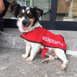 D 73abca29 324f 40d2 9749 631c50348d94