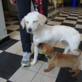 D 47c76883 a173 4941 b587 66710dc27fc1