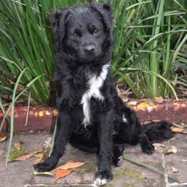 D 3e7522a1 b11f 45b2 aa53 0885edca9c6c