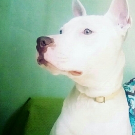 D 67655c2a 71cd 4515 88d5 ec41f56b5851