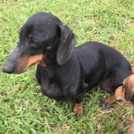 D a1845450 0e06 4031 bb9a 7863ca2a746d