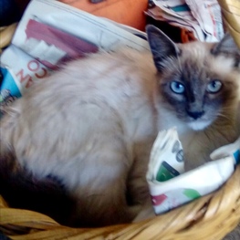 D e25ad4fa 61d4 4d64 9503 ec541ed11598