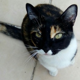 D 9141a146 677e 4ee1 b878 d63807455038