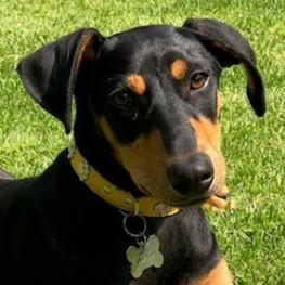 D ea254a1f e169 4b67 841b 40883b3b3dec