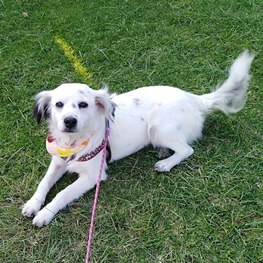 D 3ccc01b6 0774 4f26 8ca9 5a6c8db28578