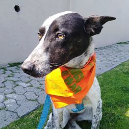 D f9ad87c5 7df3 4ff2 86a1 6d1996b803c5