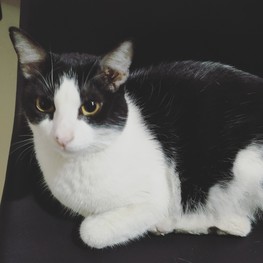 D ac26914d 9fb9 42ca bc7b 2c6dfa3c71a0