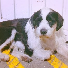 D f833f151 9f9f 4f16 bd38 bb11153c6e62