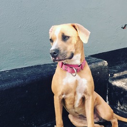 D e558d08b bcc6 4996 880b 77e1f34204c3