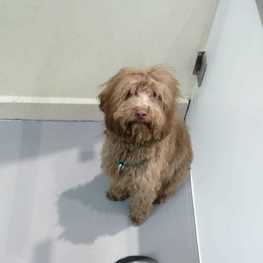 D 6bdb34f5 166a 4d20 8eb1 27d64bb5a521