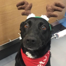 D cda7acc9 0174 42ac b253 6c080868295c