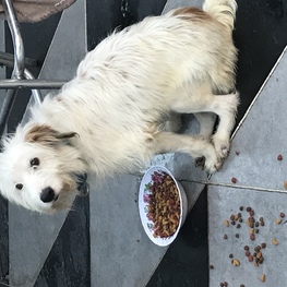 D e03d9185 8ec8 4a83 923f 49837343a87a