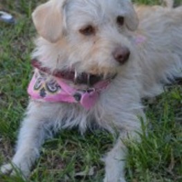 D 69adcca5 e0fe 490e 800e e1eac8bfb7ba