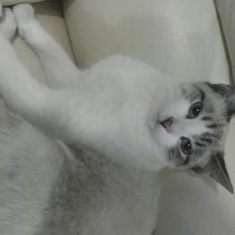 D d96ce03c 914d 4041 b16f b01c61241918