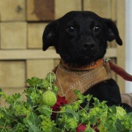 D dbe3bcb5 52d7 4650 ae61 3996b75c0265