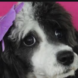 D c2dad14e b3cc 443a 9226 cb755e97179c