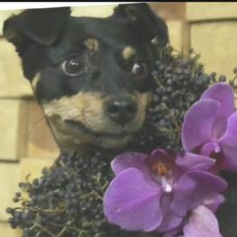 D 74465a61 b027 47a1 855d fde939fe071b