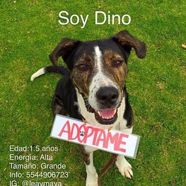 D 19d538f2 20cf 4fd4 91e8 f4b7f041cc81